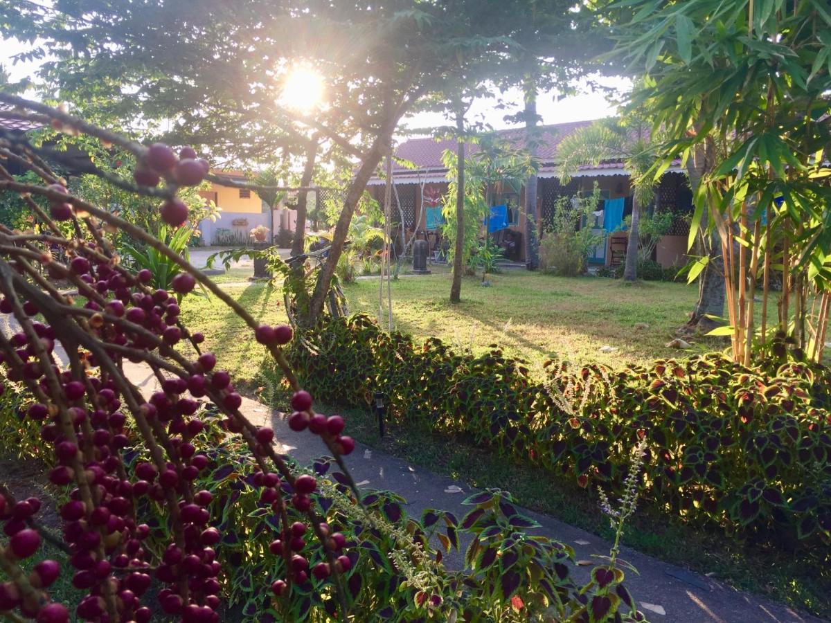 Soluna Guest House Pantai Cenang  Dış mekan fotoğraf